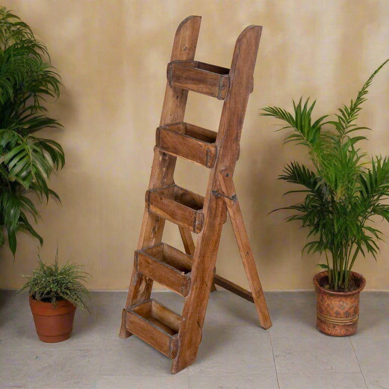 Rustic Mango Wood Ladder Shelf – A Timeless Accent from Jodhpur
